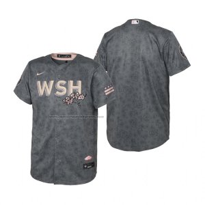 Camiseta Beisbol Nino Washington Nationals 2022 City Connect Replica Gris