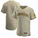 Camiseta Beisbol Hombre San Diego Padres Alterno Autentico Marron