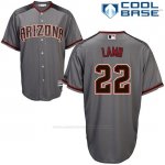 Camiseta Beisbol Hombre Arizona Diamondbacks 22 Jake Lamb Gris 2017 Cool Base