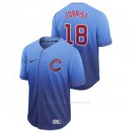 Camiseta Beisbol Hombre Chicago Cubs Ben Zobrist Fade Autentico Azul