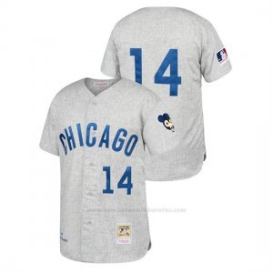 Camiseta Beisbol Hombre Chicago Cubs Ernie Banks Cooperstown Collection 1969 Autentico Away Gris