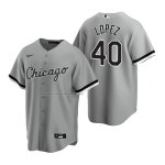 Camiseta Beisbol Hombre Chicago White Sox Reynaldo Lopez Replica Gris