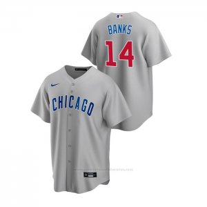 Camiseta Beisbol Hombre Chicago Cubs Ernie Banks Replica Road Gris